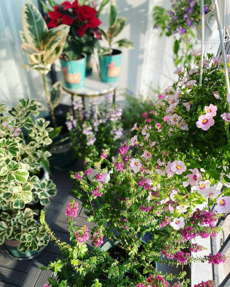 Khu vực ban công nhà BTV Khánh Trang cũng ngập tràn sắc hoa. Ảnh: FB Trần Minh Trang