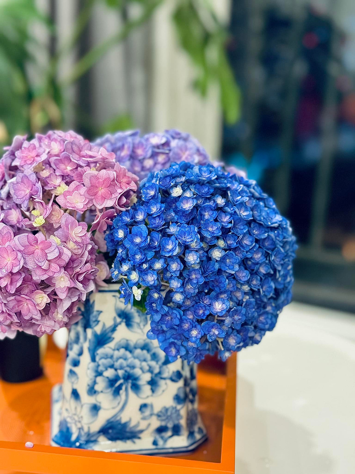 Các loài hoa rực rỡ, nổi bật cả căn phòng. Ảnh: FB Trần Minh Trang