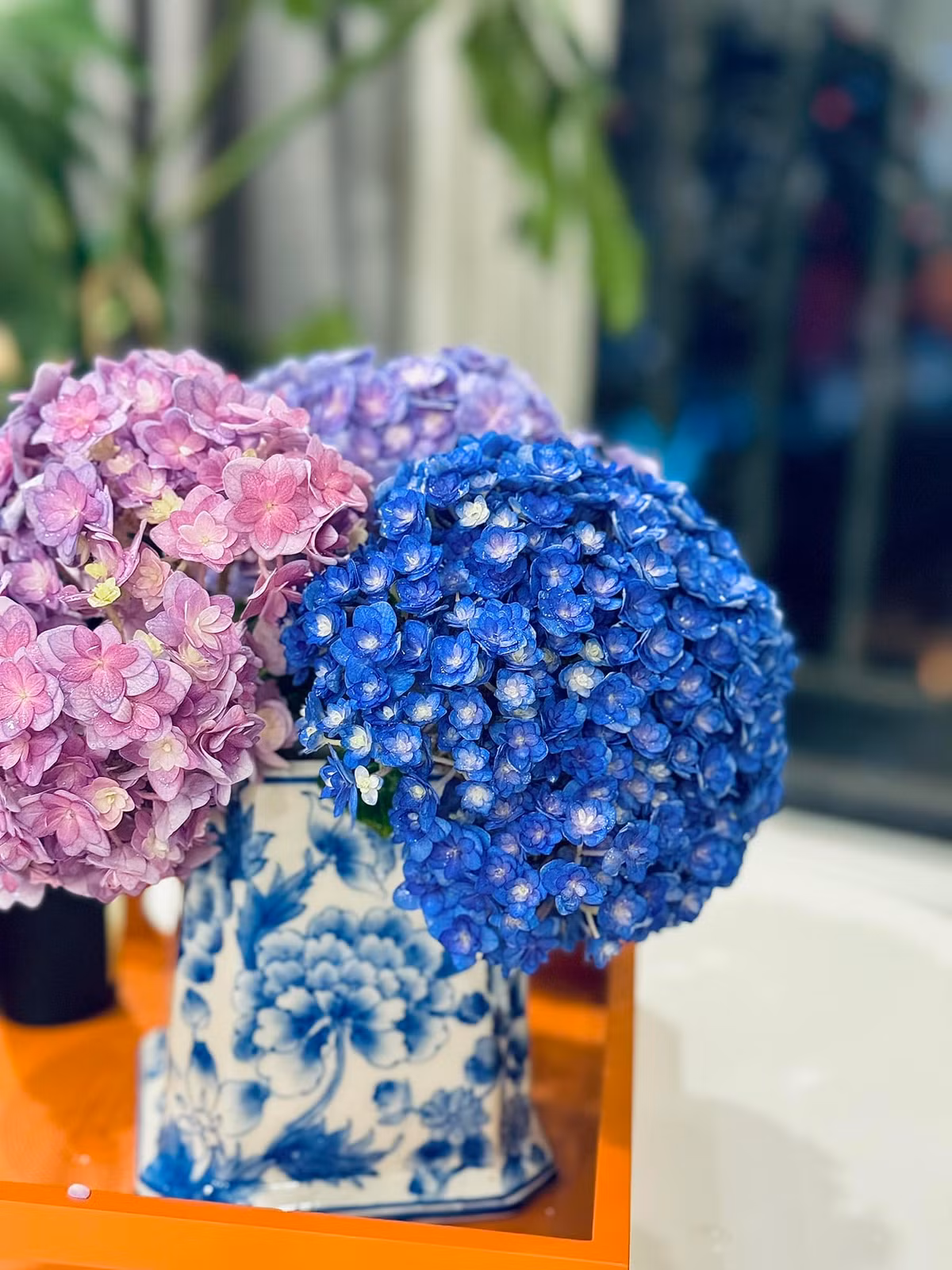 Các loài hoa rực rỡ, nổi bật cả căn phòng. Ảnh: FB Trần Minh Trang