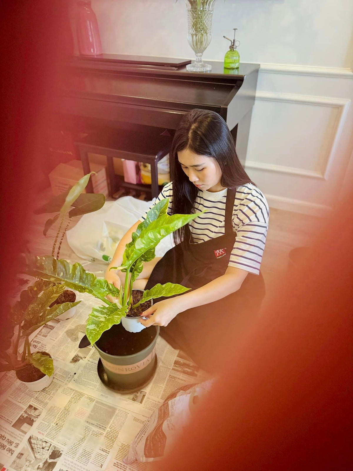 Nữ BTV tự tay cắm hoa, trang trí từng góc nhỏ trong căn nhà. Ảnh: FB Trần Minh Trang