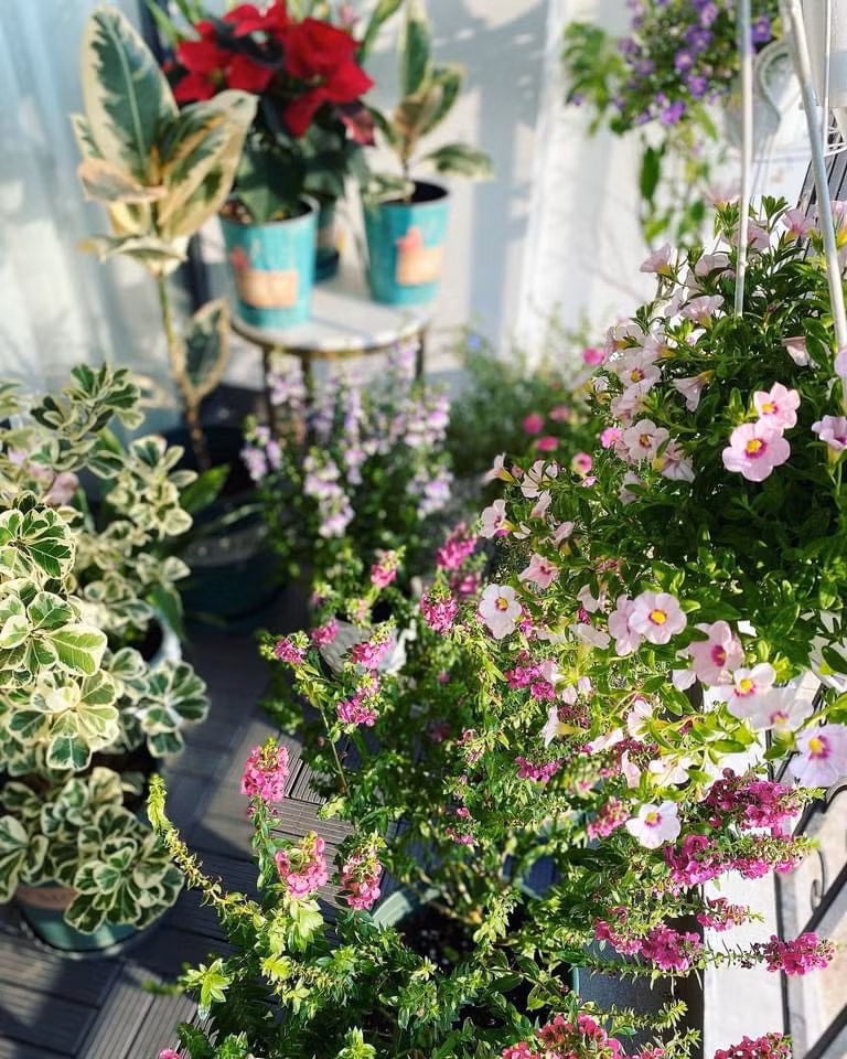 Khu vực ban công nhà BTV Khánh Trang cũng ngập tràn sắc hoa. Ảnh: FB Trần Minh Trang