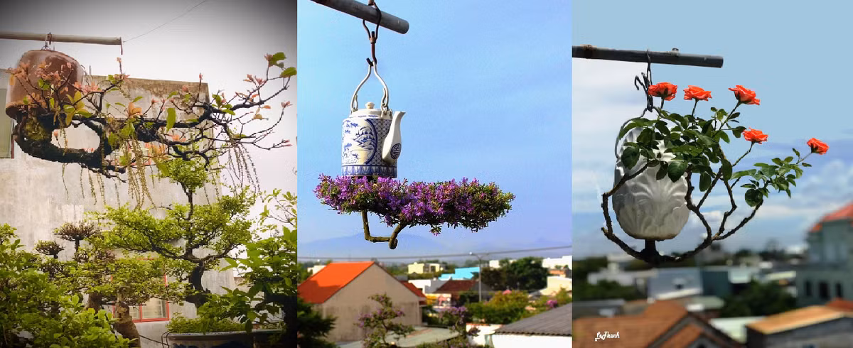"Chậu" cho bonsai ngược cũng được sử dụng phong phú, thể hiện sức tưởng tượng, đi kèm với chút sáng tạo như một cái lu, độc bình cắm hoa, thậm chí là ché rượu... Ảnh: Kyluc