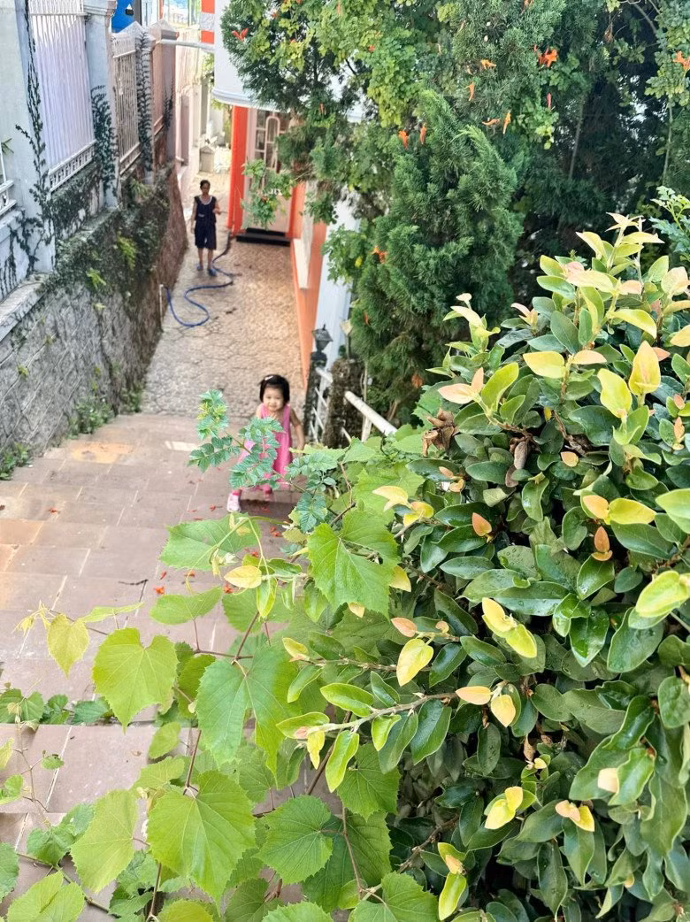 Không gian ngoài trời có lối đi bậc thang lãng mạn.