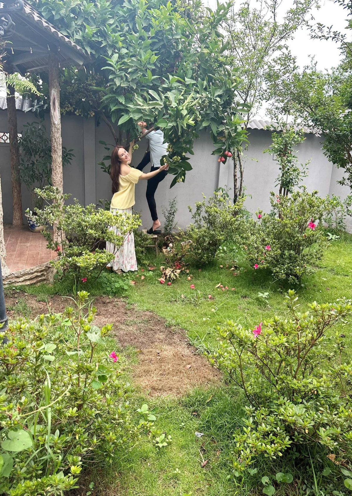 Ca sĩ Vy Oanh trồng nhiều loại cây ăn trái và hoa tươi.