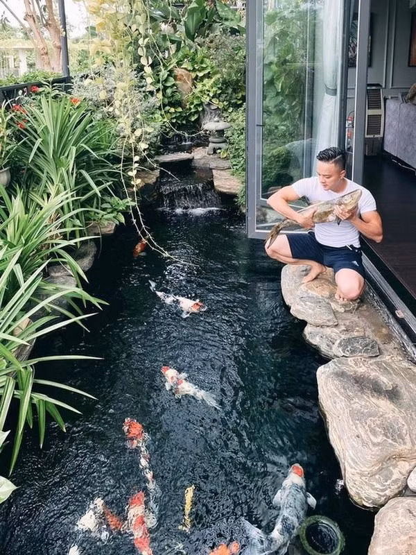 Cao Thái Sơn còn chi khoảng 1 tỷ đồng và dùng trên 10 tấn đá để xây dựng hồ cá Koi trong khuôn viên biệt thự.