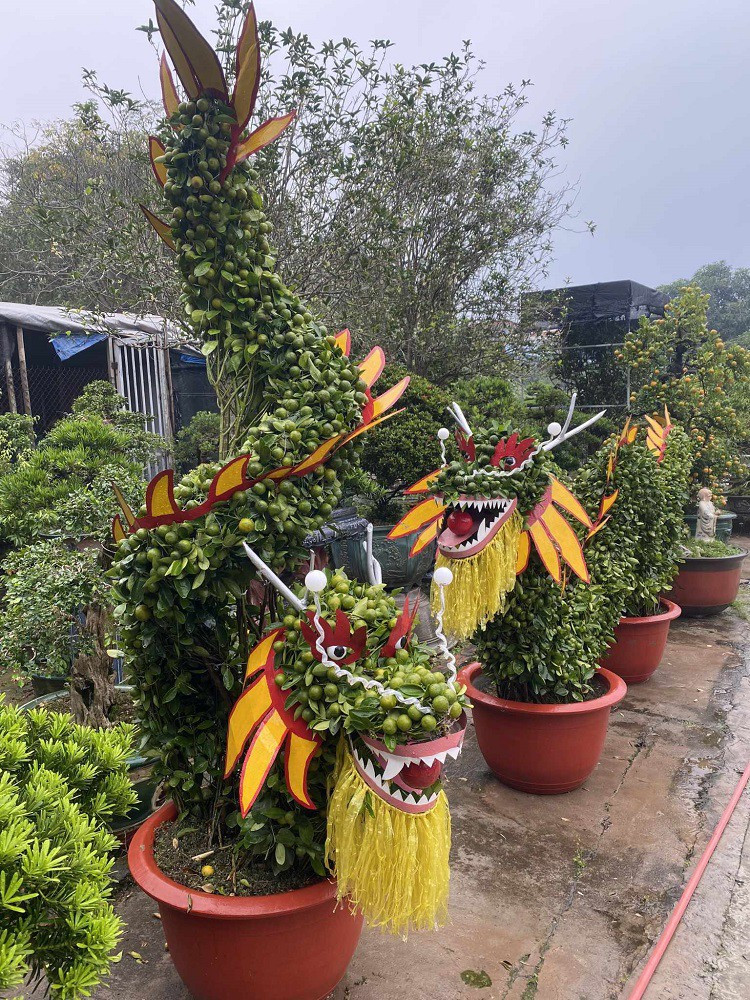 Cặp quất rồng dáng đứng giá khoảng 25 triệu đồng và cặp rồng “long vân thuỷ” khoảng 50 triệu đồng. Ảnh: Người đưa tin