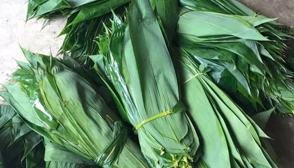  Lá tre rất phổ biến tại Việt Nam và thường bị bỏ đi hoặc sử dụng như vật liệu thải loại. Thế nhưng, vài năm gần đây lá tre trở thành mặt hàng xuất khẩu đem lại thu nhập khả quan cho người dân. Ảnh: Internet