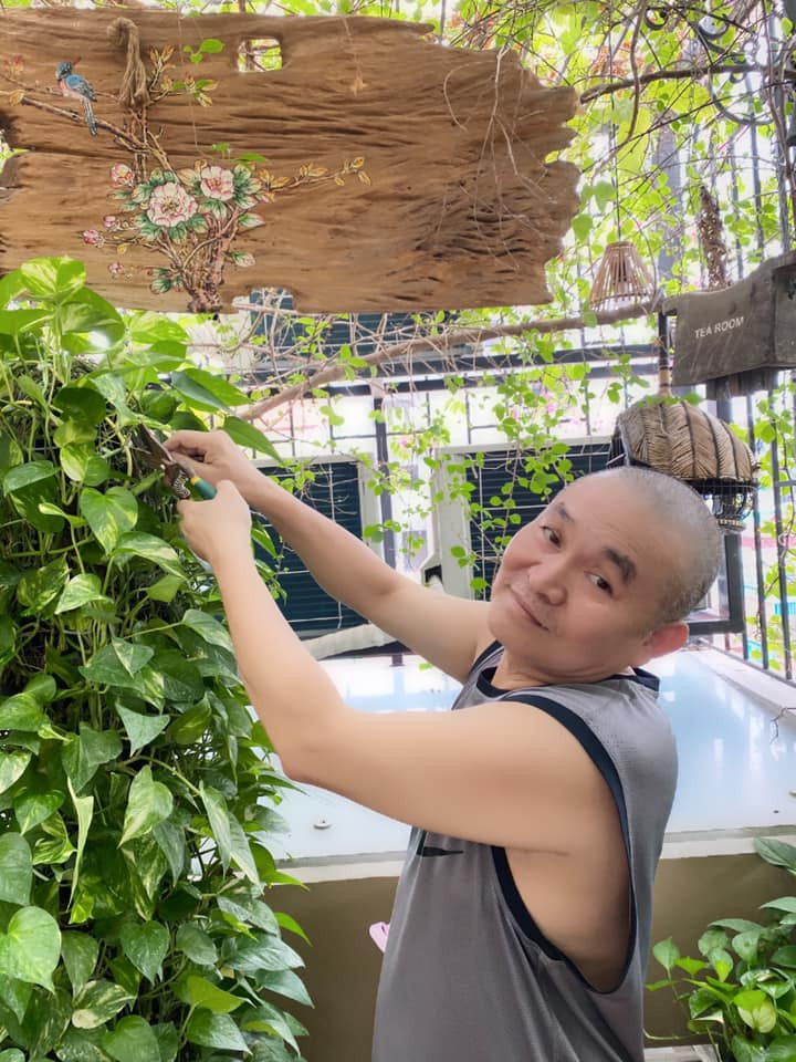 Khuôn viên nhà đầy ắp những cây xanh, bóng mát.