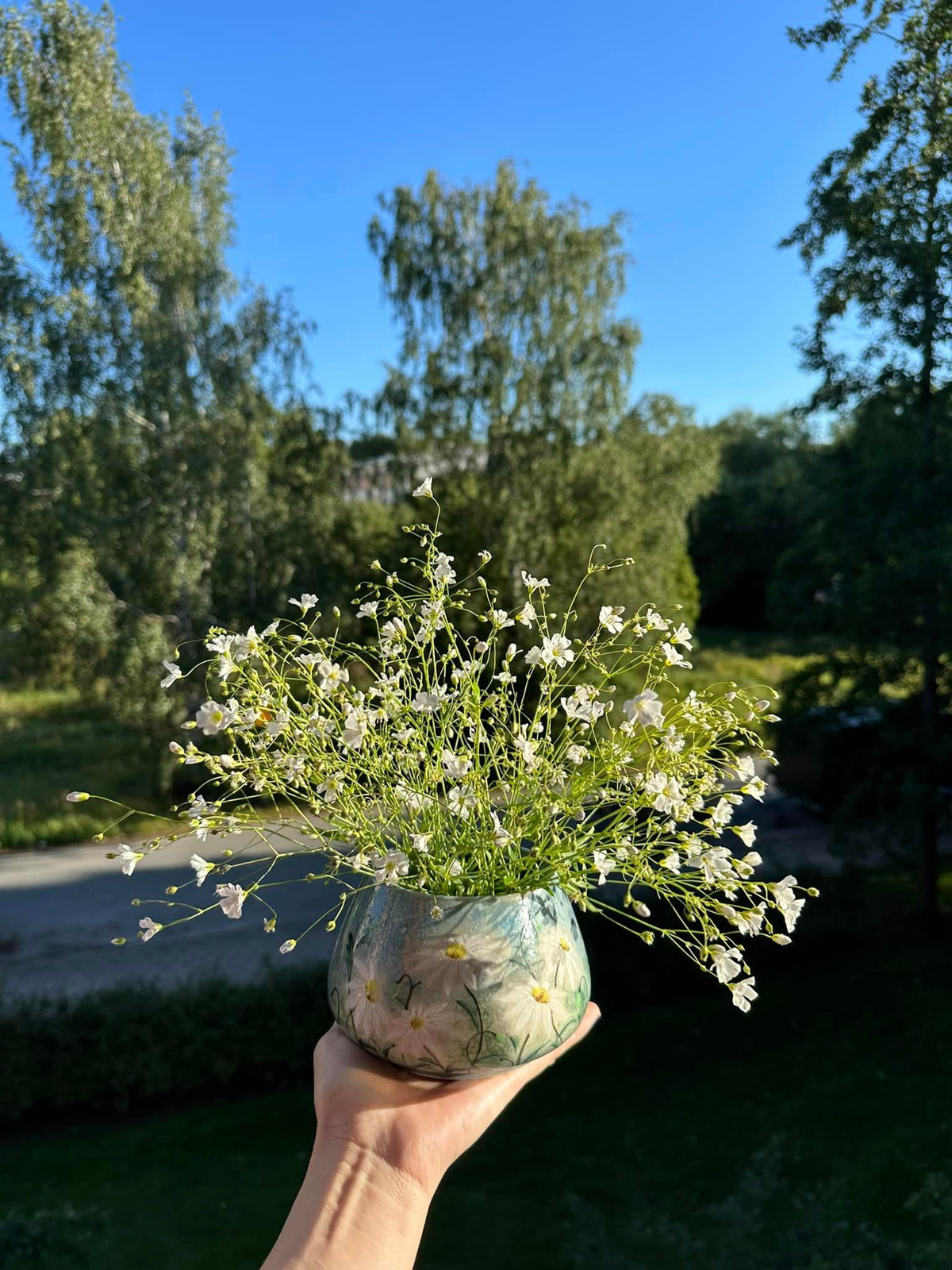 Quanh nhà Mạc Anh Thư là hoa cỏ cây ăn trái. Ảnh: FB Mạc Anh Thư