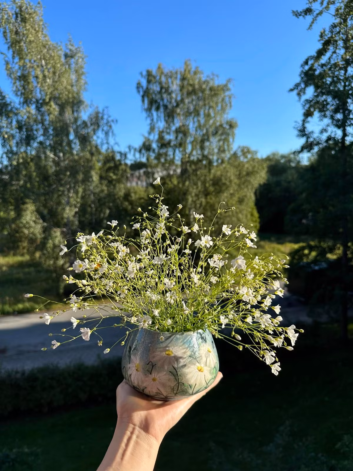 Quanh nhà Mạc Anh Thư là hoa cỏ cây ăn trái. Ảnh: FB Mạc Anh Thư