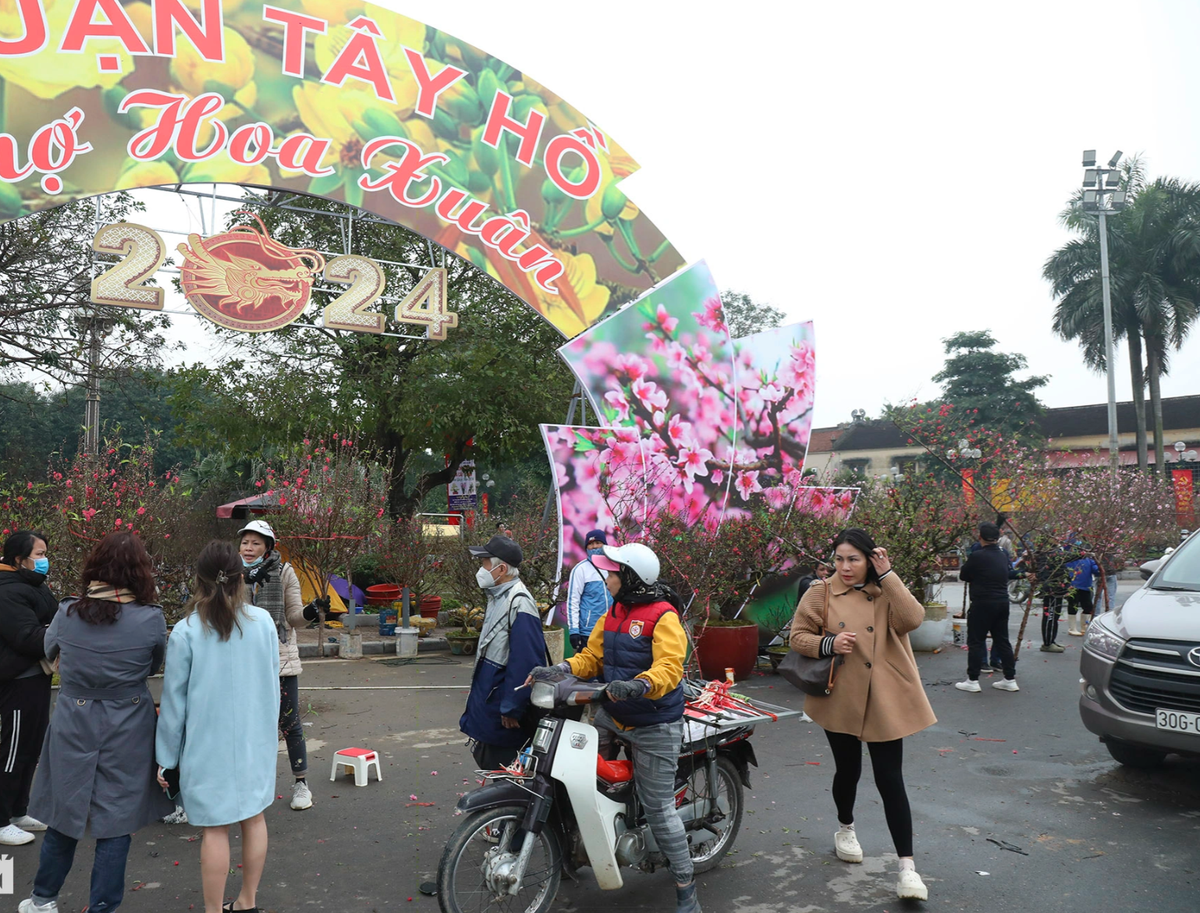 Nhon nhip nhung cho hoa Tet nuc tieng Ha thanh