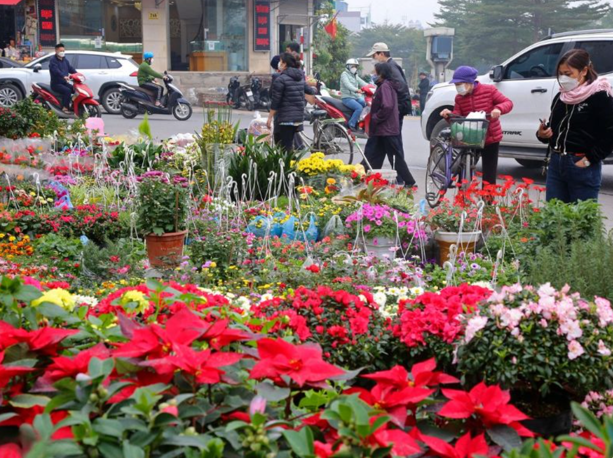 Chợ hoa Lạc Long Quân nằm trên đường Lạc Long Quân, kéo dài đến đầu đường Thụy Khuê, quận Cầu Giấy. Đây là một trong những chợ hoa Tết Hà Nội lớn nhất với vô số loại hoa được nhập về từ các tỉnh trong nước và kể cả hoa ngoại.