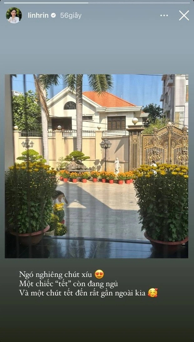 Mới đây, Linh Rin hé lộ một phần khung cảnh đón Tết của nhà mình. Dễ dàng nhận thấy vợ chồng Linh Rin - Phillip Nguyễn đã kịp mang Tết về căn biệt thự ở quận 2 (nay là TP Thủ Đức) với nhiều loại cúc khác nhau.