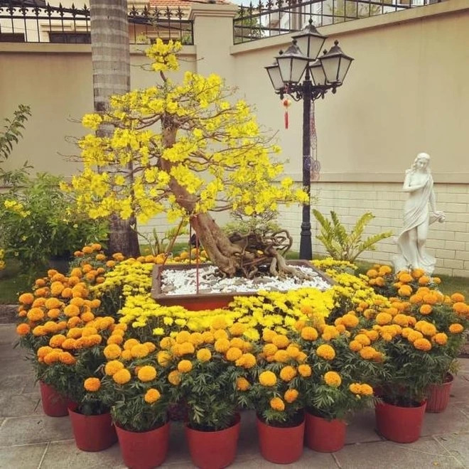 Những năm trước, khi chưa chính thức lấy vợ và có con, Phillip Nguyễn khiến không khí Tết ngập tràn với sắc vàng của mai, cúc vạn thọ,...