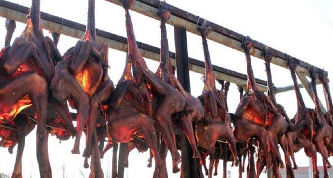 Qua sương gió, thịt gà bắt đầu khô lại, gia vị và thảo mộc ngấm dần vào bên trong. Ảnh: Sohu