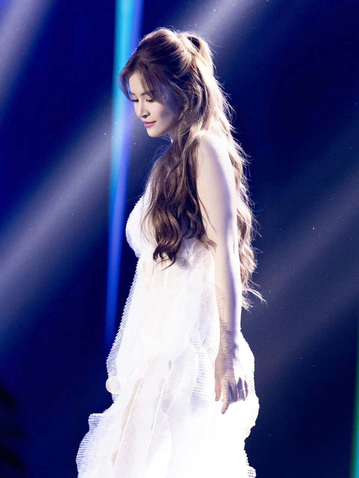 Cộng đồng mạng từng đồn đoán nữ ca sĩ nhận được thù lao 3.500 đến 4.000 USD cho mỗi lần xuất hiện.