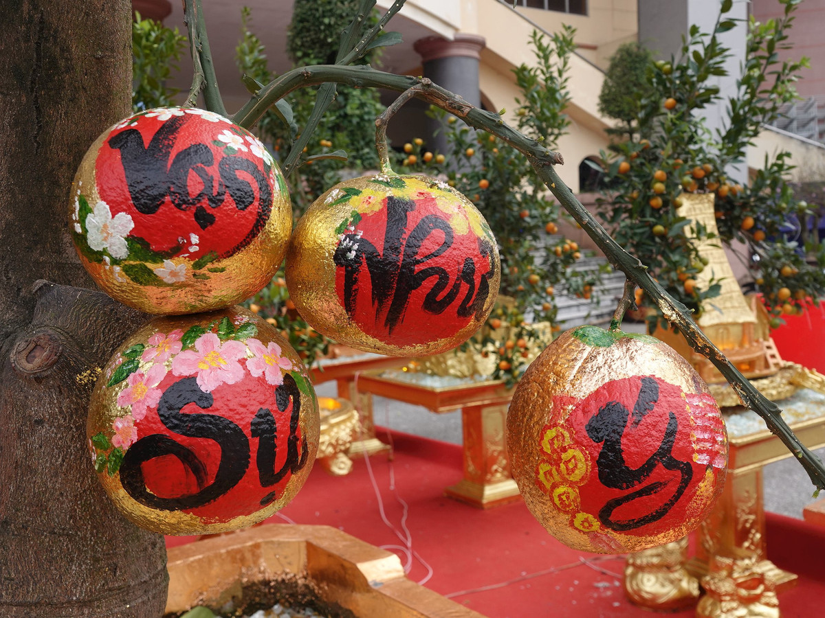 Tại chợ hoa xuân Giáp Thìn ở Ninh Bình, gian hàng bán bưởi dát vàng rực rỡ thu hút sự chú ý của đông đảo khách hàng. Ảnh: Congly