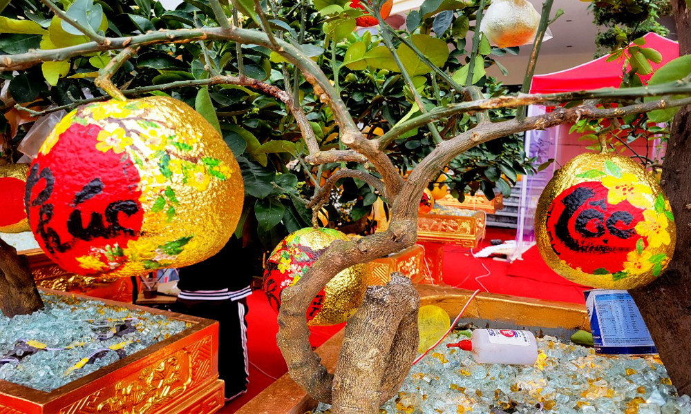 Mỗi chậu bưởi dát vàng có giá dao động từ 15-40 triệu đồng. Ảnh: Vietnamnet