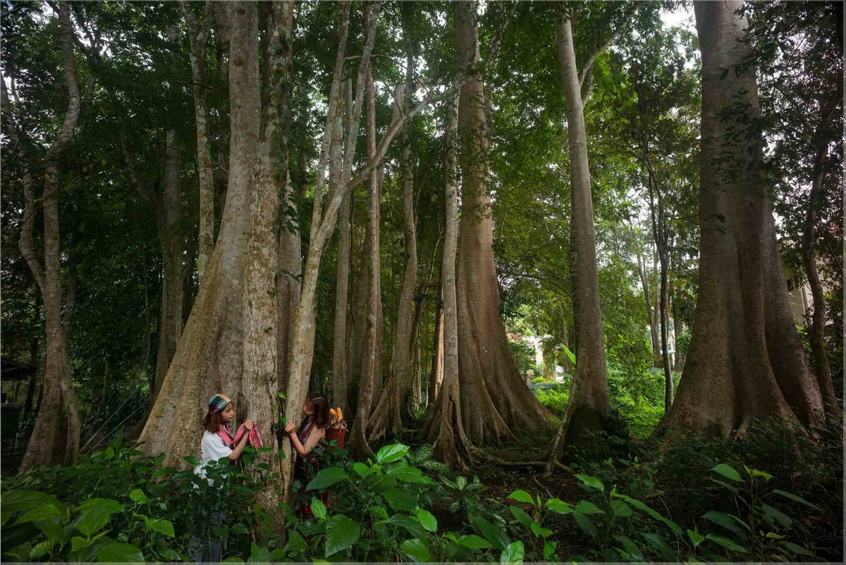 5 hoat dong tranh nong gan TPHCM