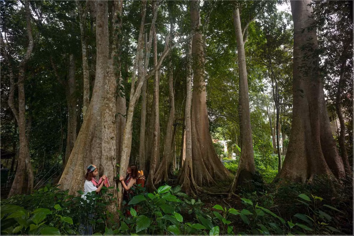 5 hoat dong tranh nong gan TPHCM