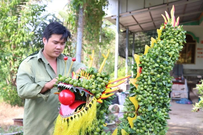 Theo nhà vườn huyện Chợ Lách, giá quất cảnh hình rồng bán cho thương lái trung bình từ 2-4 triệu đồng/cặp, tùy loại. Ảnh: TTXVN