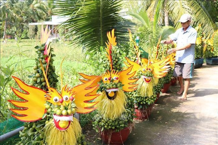 Năm nay, quất cảnh tạo dáng hình rồng được khách hàng săn đón. Ảnh: TTXVN