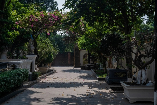 Phía trước căn biệt thự là khoảng sân rộng để trồng cây cảnh và cây ăn trái.