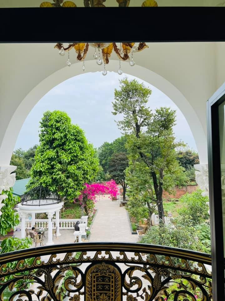 Nhìn cây cối trong nhà NSƯT Quang Tèo, nhiều người không khỏi xuýt xoa. Ảnh: FBNV