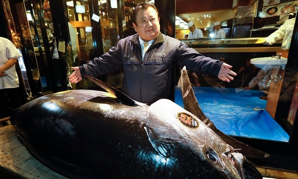 Ông Kiyoshi Kimura - chủ chuỗi nhà hàng sushi Sushi Zanmai từng khiến dư luận xôn xao khi chi tới 3,1 triệu USD (gần 72 tỷ đồng) để mua một con cá ngừ khổng lồ trong phiên đấu giá đầu tiên của năm 2019 tại chợ cá mới Tokyo. Ảnh: EPA