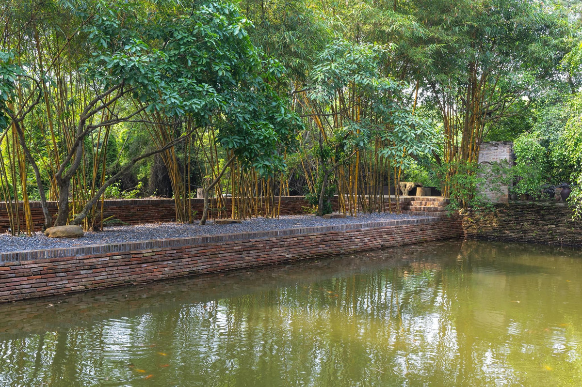 Rặng tre ngà mang đậm nét truyền thống của người Việt. Ảnh: FB Xuân Hinh