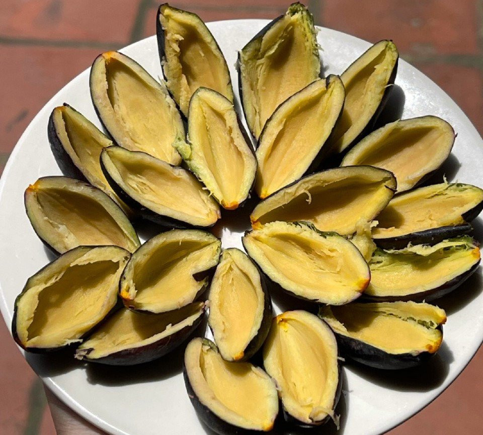 Trám đen quả to, cùi dầy, bùi ngậy, thơm ngon, ăn không bị chát hay chua. Ảnh: Facebook