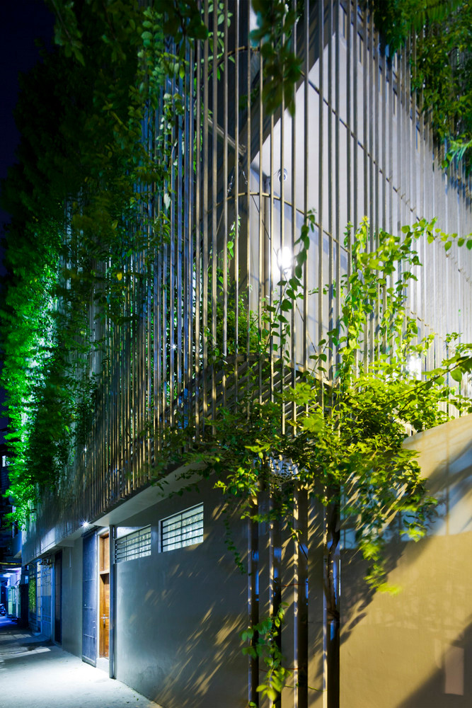 Mặt tiền nhà phố như một thác nước xanh dễ chịu, thu hút từ bên trong lẫn bên ngoài.