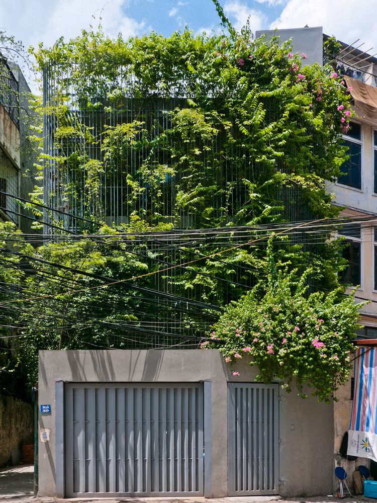 Man nhan nha pho nhu oc dao xanh giua long Ha Noi