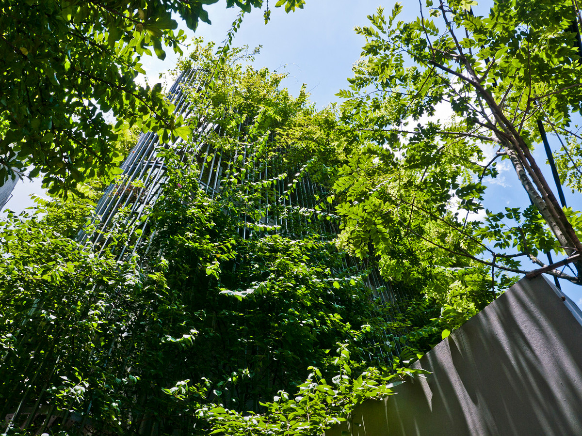 Mặt tiền xanh và khu vườn trên mái giúp bảo vệ tòa nhà khỏi ánh nắng khắc nghiệt từ hướng Tây.