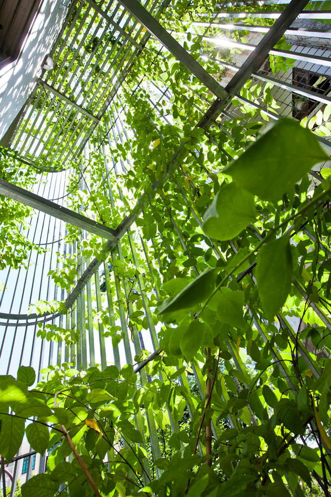 Hàng rào an ninh cũ được dỡ bỏ và thay thế bằng lưới thép mạ kẽm, gắn vào ban công.