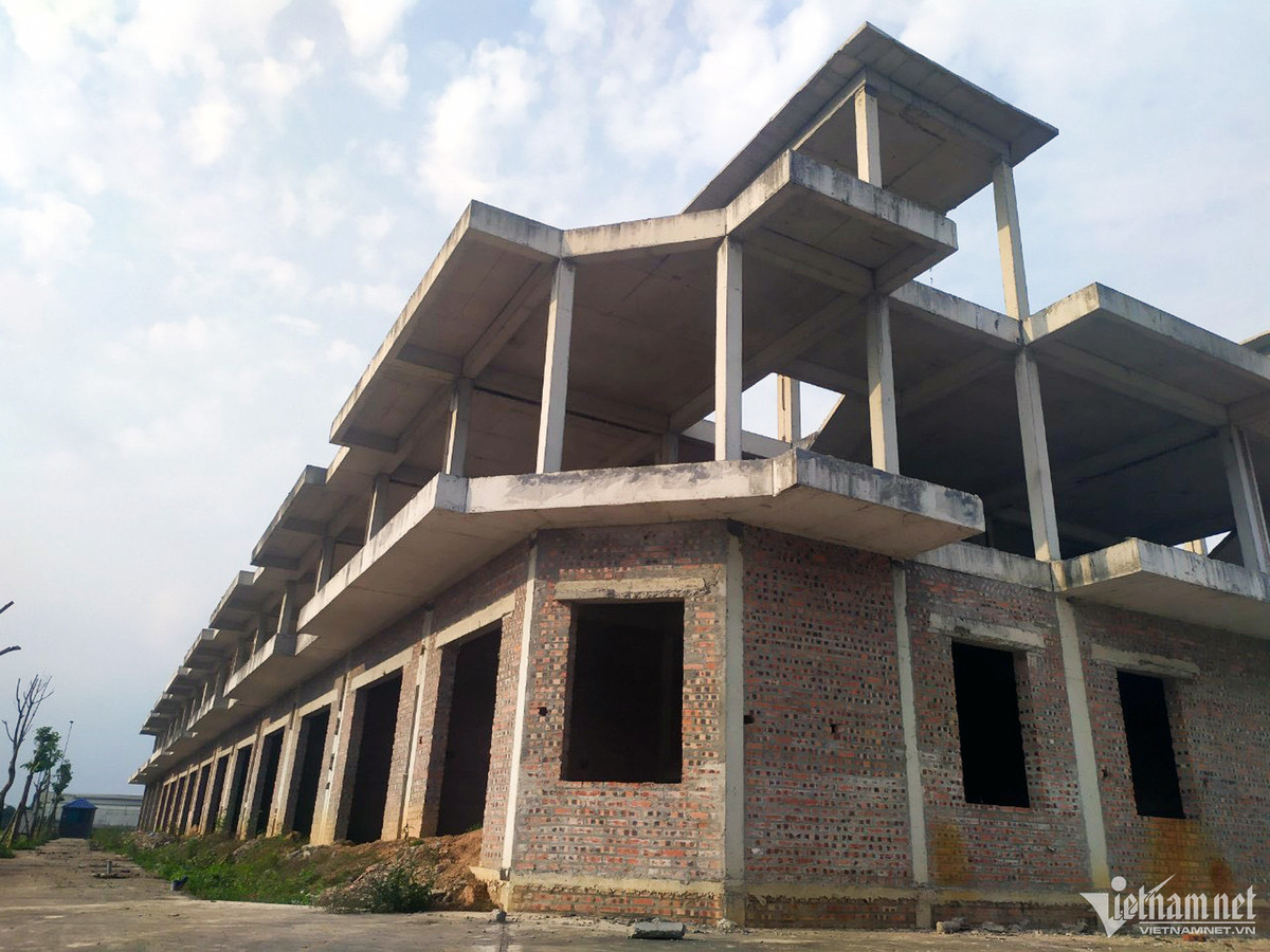 Du an nao khien Pho Bi thu Vinh Phuc Pham Hoang Anh bi bat?-Hinh-2