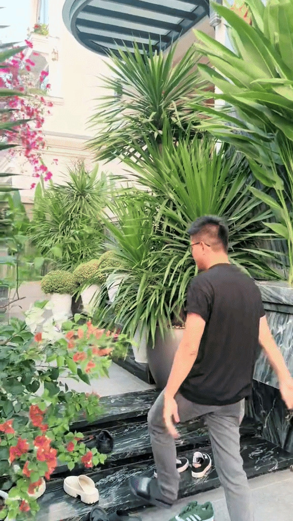 Ở bên ngoài, sân vườn tràn ngập hoa cỏ. Ảnh chụp màn hình