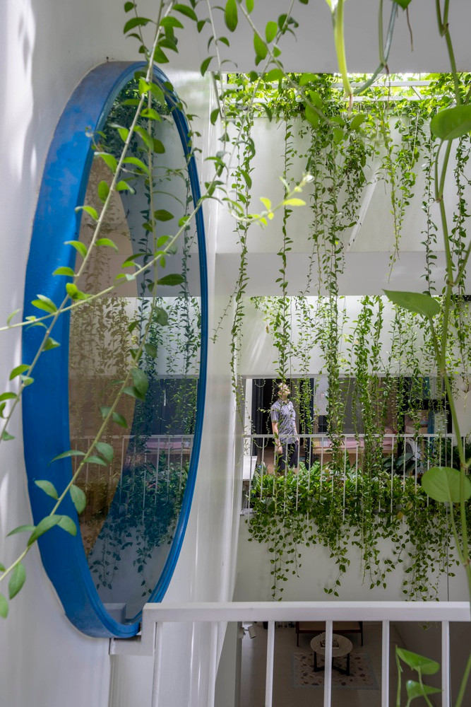 Sự luân chuyển này chủ yếu thông qua nước, ánh sáng và gió. Ảnh: Cao Hoa, An Viet Dung