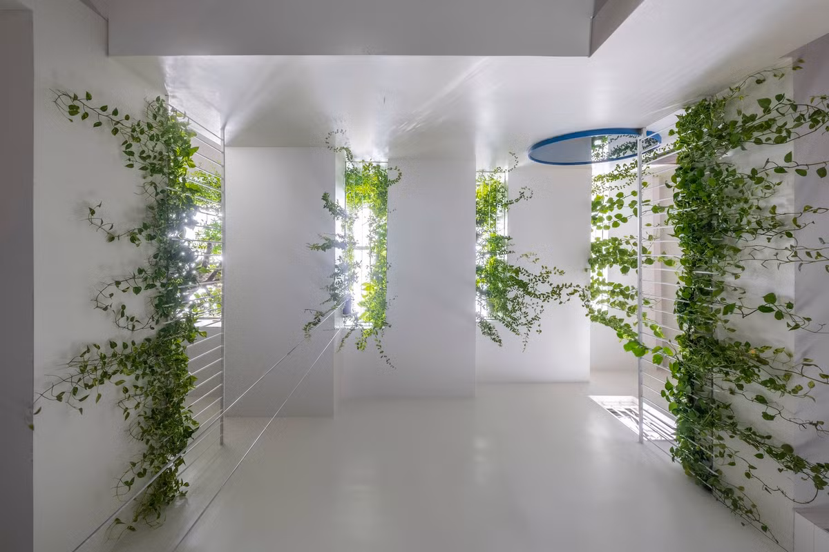 Mục đích của dự án là tạo ra một môi trường đô thị đáng sống và bền vững hơn bằng cách giải quyết các vấn đề đô thị hóa đồng thời cung cấp một không gian sống lành mạnh và xanh hơn cho cư dân. Ảnh: Cao Hoa, An Viet Dung