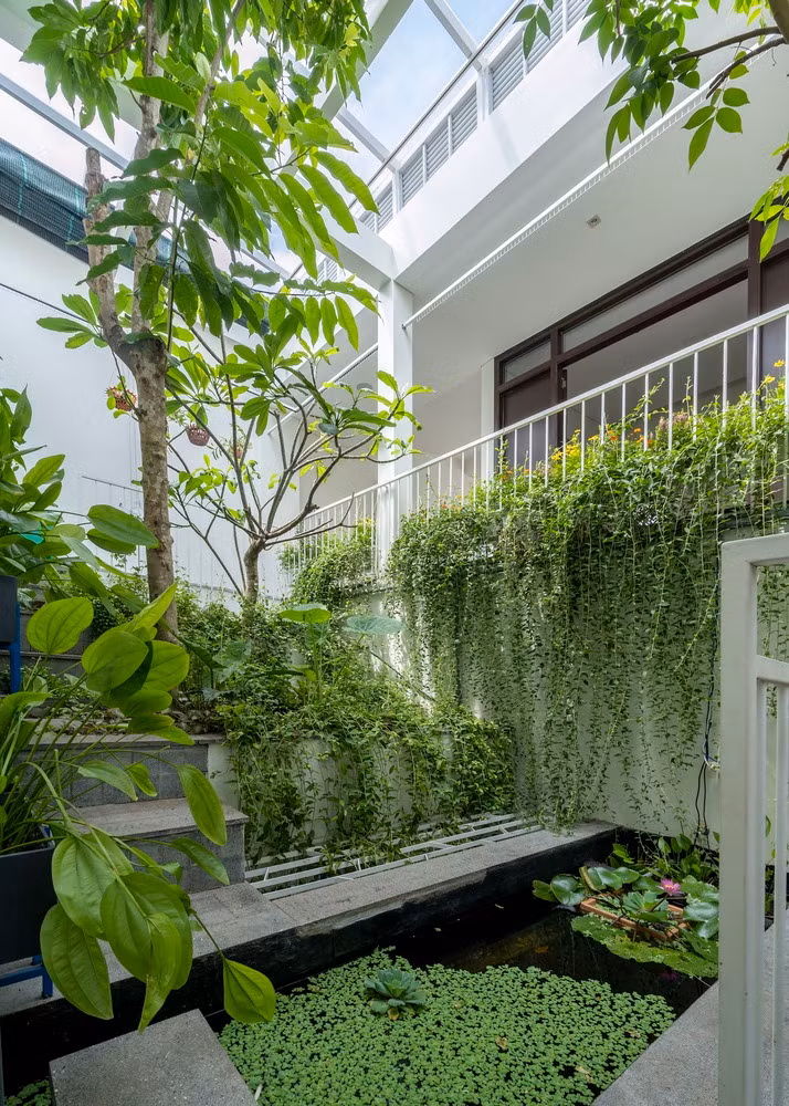 Hệ sinh thái trong nhà được sắp xếp khoa học, phù hợp với từng giai đoạn phát triển. Ảnh: Cao Hoa, An Viet Dung