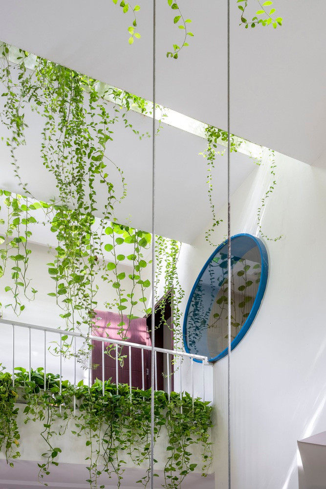 Giàn cây dây leo tạo điểm nhấn cho từng góc ban công, hành lang. Ảnh: Cao Hoa, An Viet Dung