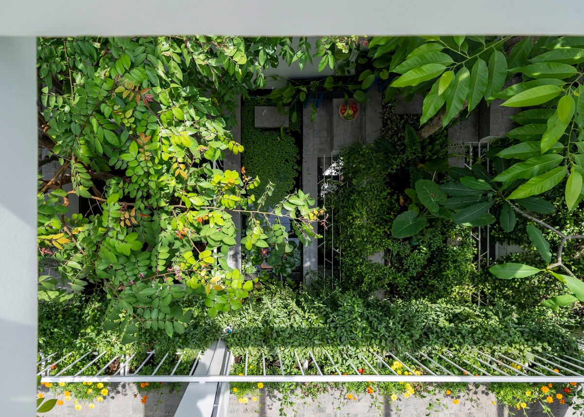 Là công trình nhà ở đô thị nhưng lại giống như một khu rừng thu nhỏ. Ảnh: Cao Hoa, An Viet Dung