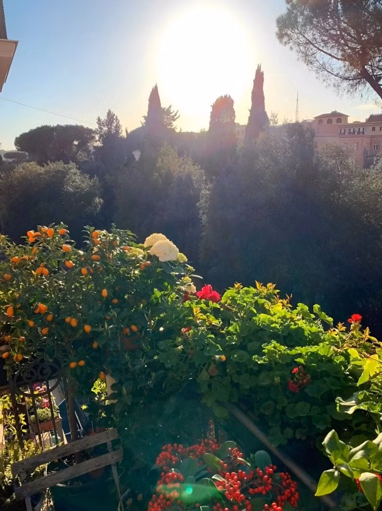 Ban công được Ngô Mỹ Uyên trồng cây xanh và hoa. Ảnh: Vietnamnet