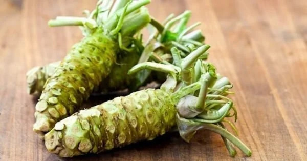 Wasabi (mù tạt) không phải là thứ xa lạ với những ai yêu thích món sashimi (hải sản tươi sống) Nhật Bản. Những lọ mù tạt bình thường giá vài chục nghìn đồng thực chất có tới 95% trong đó là chất tổng hợp. Mù tạt chính hiệu từ củ Wasabi đắt hơn thế hàng chục lần. Ảnh: Getty