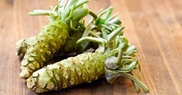 Wasabi (mù tạt) không phải là thứ xa lạ với những ai yêu thích món sashimi (hải sản tươi sống) Nhật Bản. Những lọ mù tạt bình thường giá vài chục nghìn đồng thực chất có tới 95% trong đó là chất tổng hợp. Mù tạt chính hiệu từ củ Wasabi đắt hơn thế hàng chục lần. Ảnh: Getty