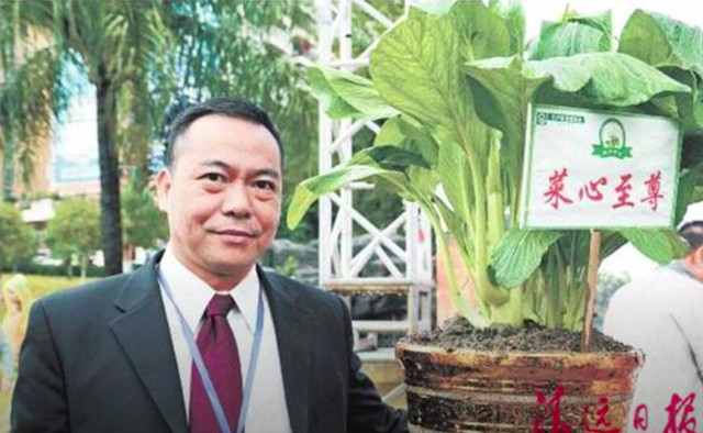 Loại rau này vốn được gọi với cái tên "rau cải Vua". Năm 2014, loại rau cải này được công nhận là sản phẩm biểu tượng của Trung Quốc. Ảnh: Sohu