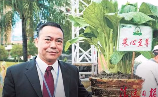 Loại rau này vốn được gọi với cái tên "rau cải Vua". Năm 2014, loại rau cải này được công nhận là sản phẩm biểu tượng của Trung Quốc. Ảnh: Sohu