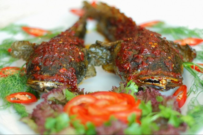 Cá mao ếch không có độc. Thịt cá trắng, dai, thơm ngon nên được nhiều người yêu thích. Ảnh: Dân Việt