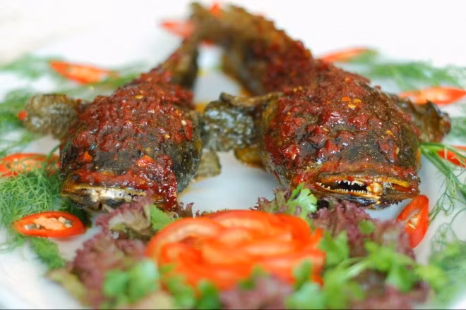 Cá mao ếch không có độc. Thịt cá trắng, dai, thơm ngon nên được nhiều người yêu thích. Ảnh: Dân Việt