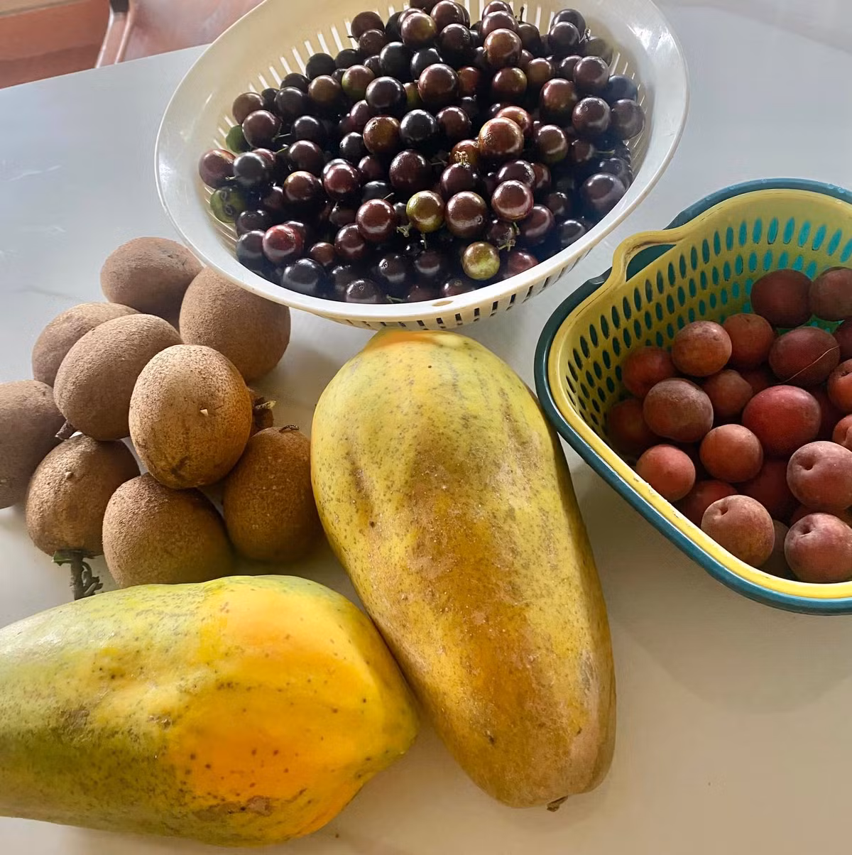 Trong khu vườn, NSND Thanh Hoa không chỉ trồng các loại hoa rực rỡ mà còn trồng đủ cây ăn trái để cuối tuần đón con cháu về sum vầy.